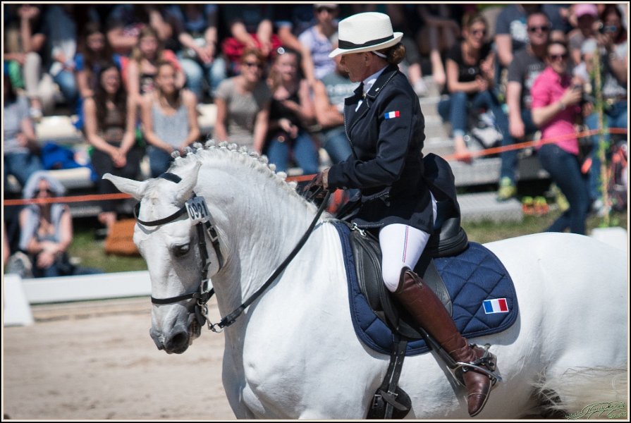 Pferd International 172